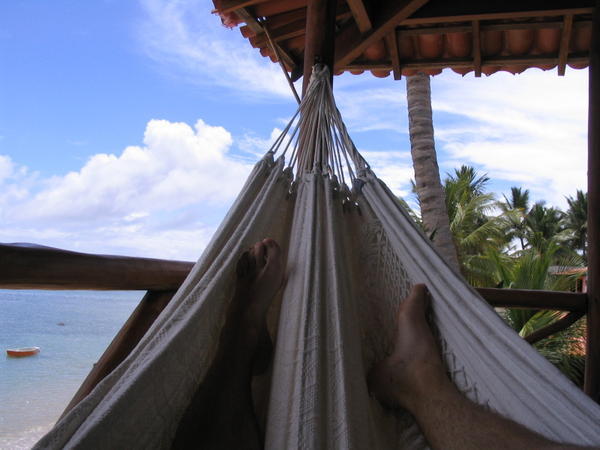 View from the hammock