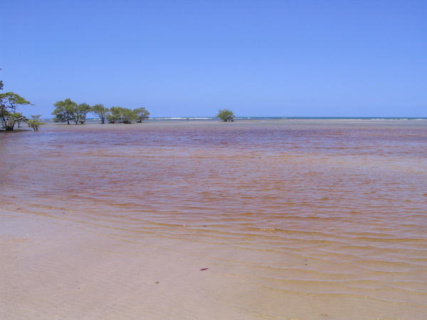 Reddish tidal water