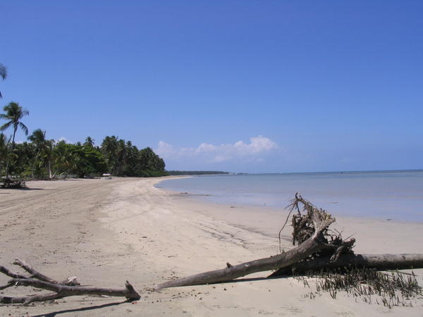 View down 4th beach from the Mangrove forest