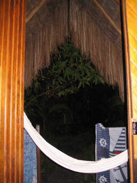 view out to the porch and hammock