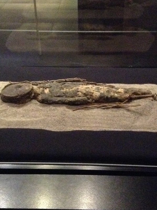 Momia de 8000 años de edad