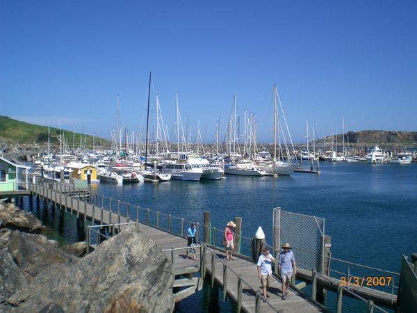 The Harbour 