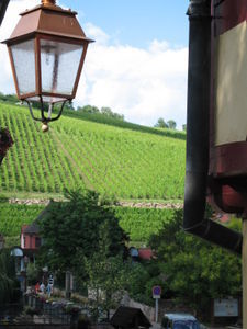 Mmmm..... vineyards!