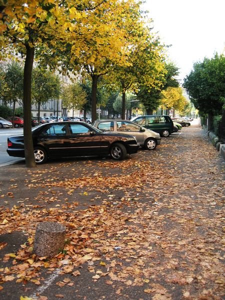 Autumn in Strasbourg