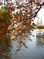 Autumn in Strasbourg