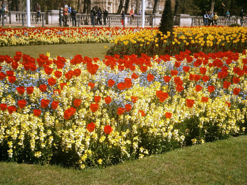 Amazing flowers in front of the palace