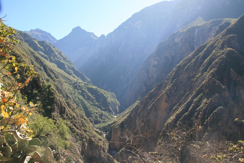 View of the Canyon