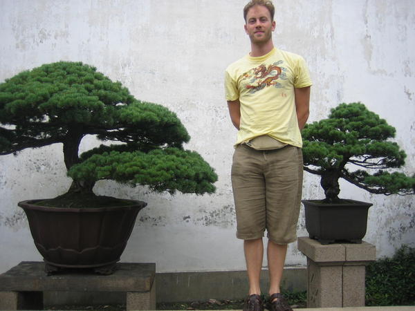 bonsai garden, Humble Administrator