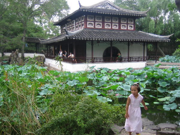 young girl playing by the pond, Zhuozheng Yuan