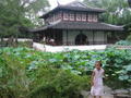 young girl playing by the pond, Zhuozheng Yuan