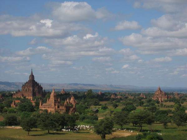 Central Plain, mid morning, Bagan