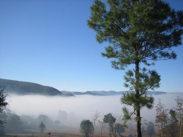 morning mist