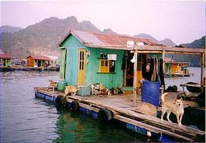 floating village, Cat Ba