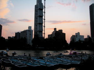 row boats & paddle boats, Shinobazu-ike, Ueno