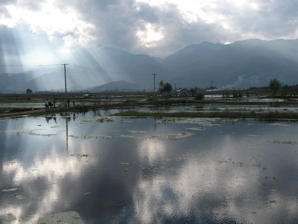 flooded rice paddies, Erhai Lake