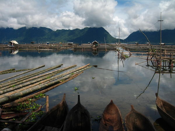 fish farms, Lake Maninjau