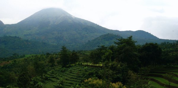 Gunung Penanggunan, from Trawas