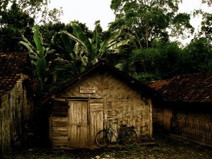 wood shed, Kalibaru