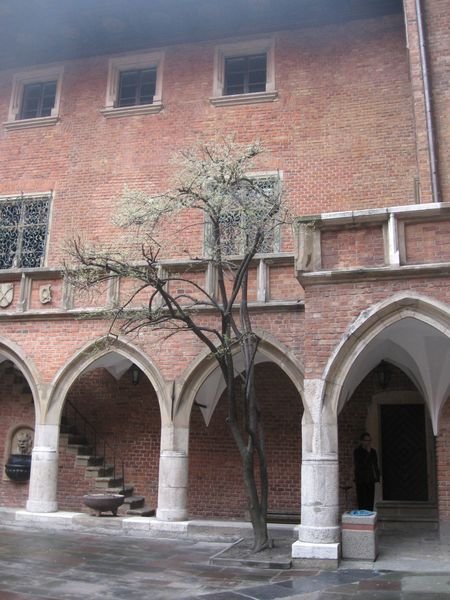 Courtyard of Old Building