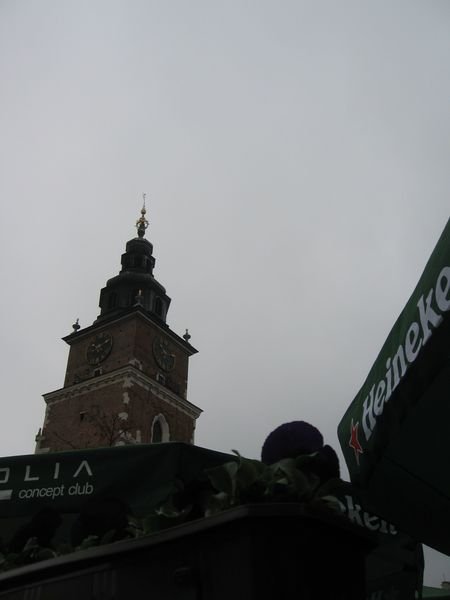 Pansy, Heineken, and Town Hall Tower