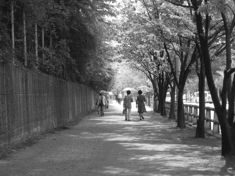 Women Walking Near Haksan Park