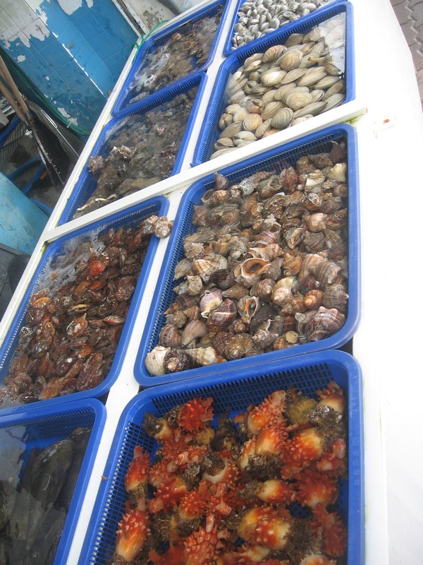 Variety of Seafood