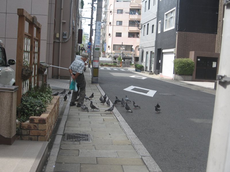 Man Surreptitiously Feeding Pigeons