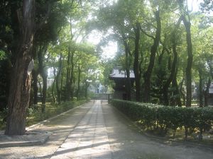 Paths at Shofukuji