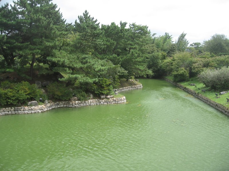 Anab Pond