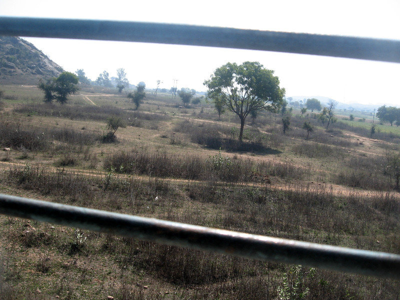 General Train View