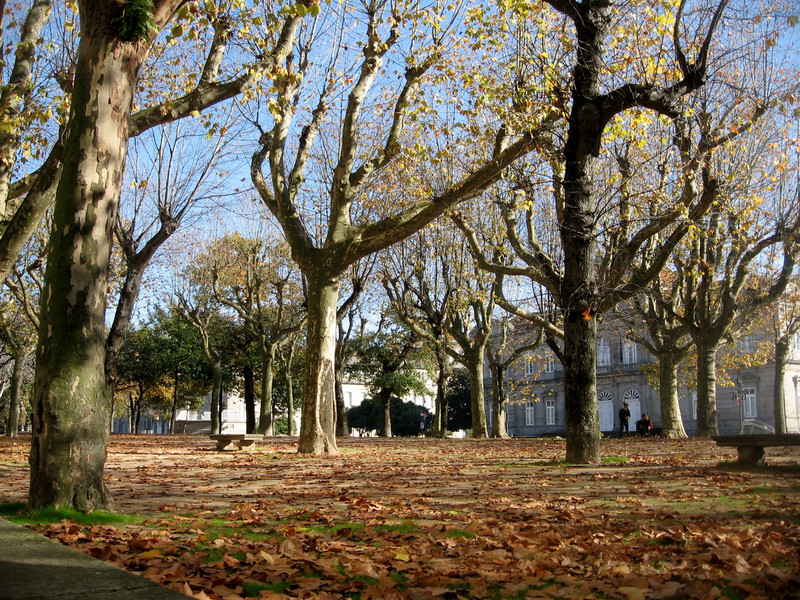 Park, Pontevedra