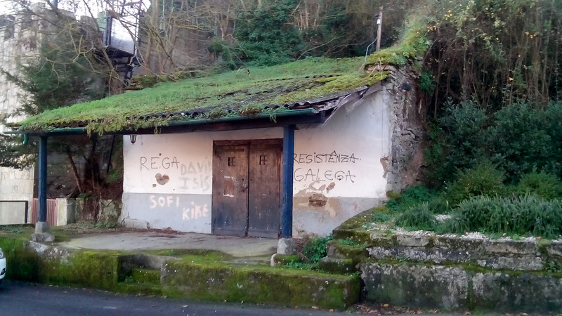 'Galician' Hillside in Monforte