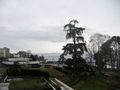 First View of Lake Geneva Saturday Morning