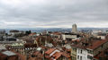 Views of Lausanne from the Cathedral
