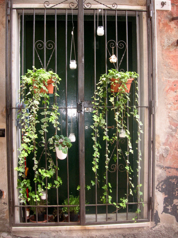 House Plants, Genoa