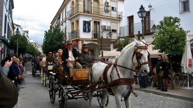 Horse and Buggy, Andalucía Day, Córdoba