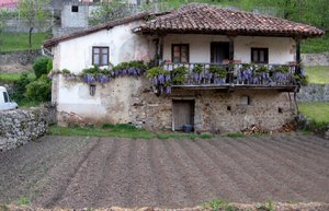 Rural Asturian Style