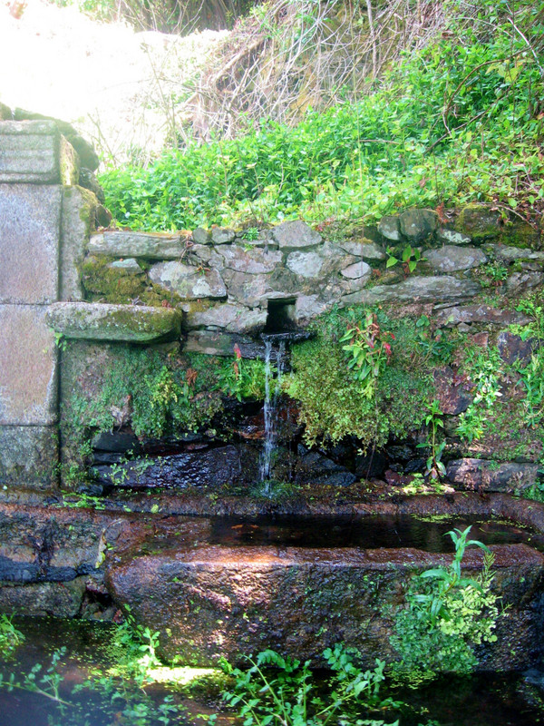 Fountain along Camino Inglés 