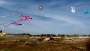 Kites on Praia Grande, Miños