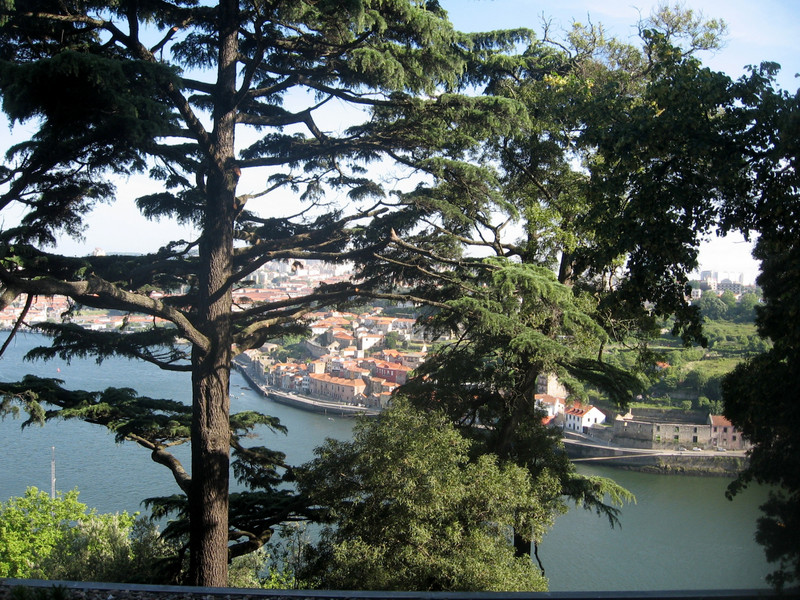 Views from Jardins do Palácio de Cristal, Porto