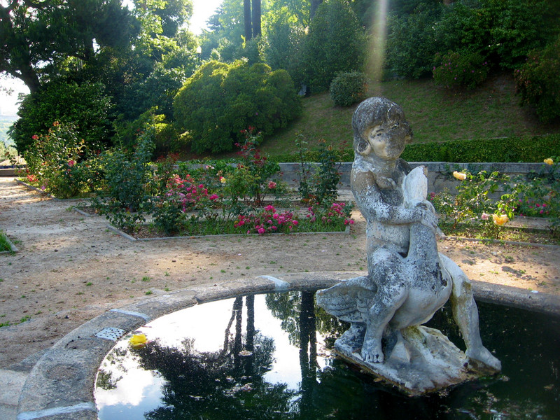 Rose Garden in Jardins do Palácio de Cristal, Porto