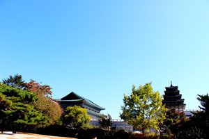 Gyeongbokgung Palace 8