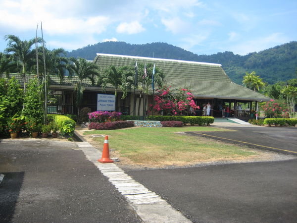 Diving in Tioman