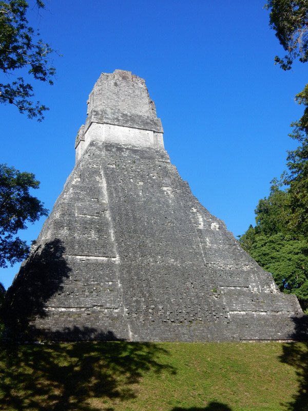 Pyramide in Tikal