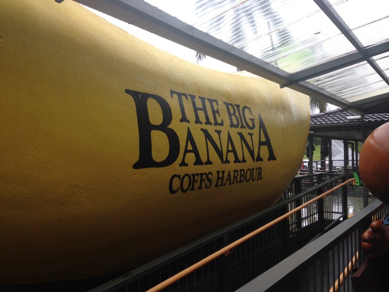 Not really that Big banana 