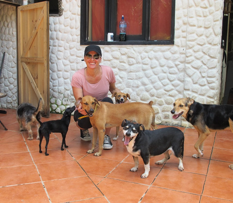 Costa Rican Dog Rescue Centre