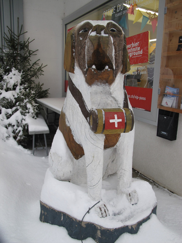 Swiss National Dog of Rescue - La Tzoumaz