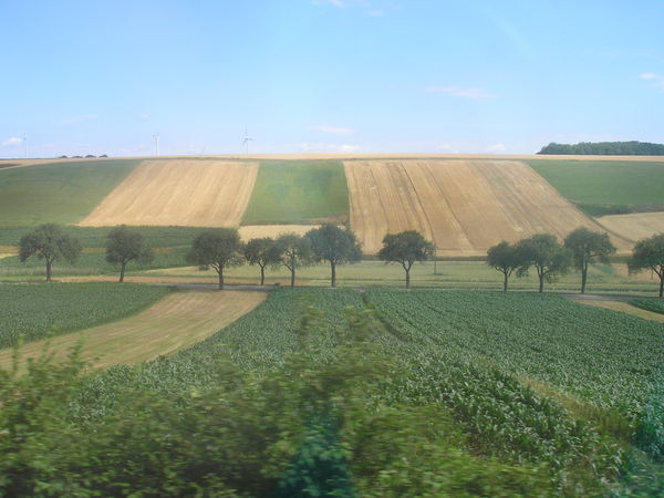 Farmlands Of Austria
