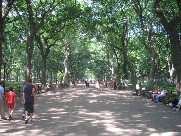 The Mall - Central Park 
