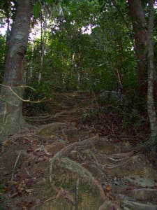Jungle Trekken - Pulau Perhentian Besar